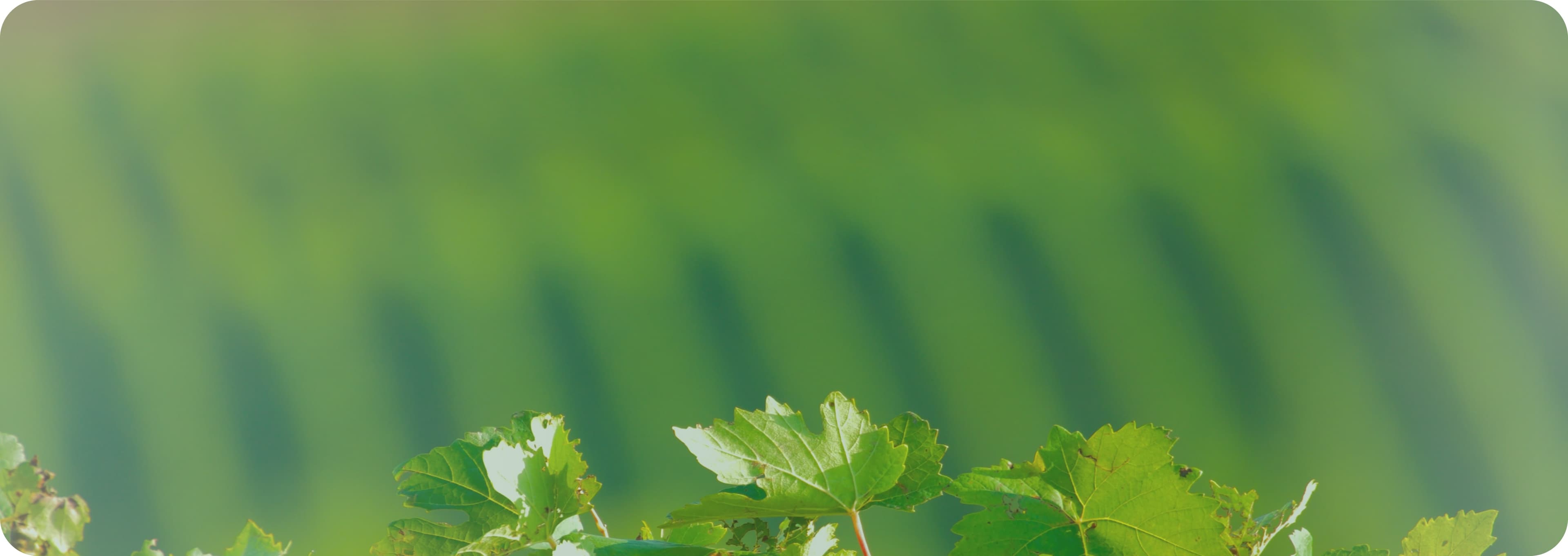 Future of farming background