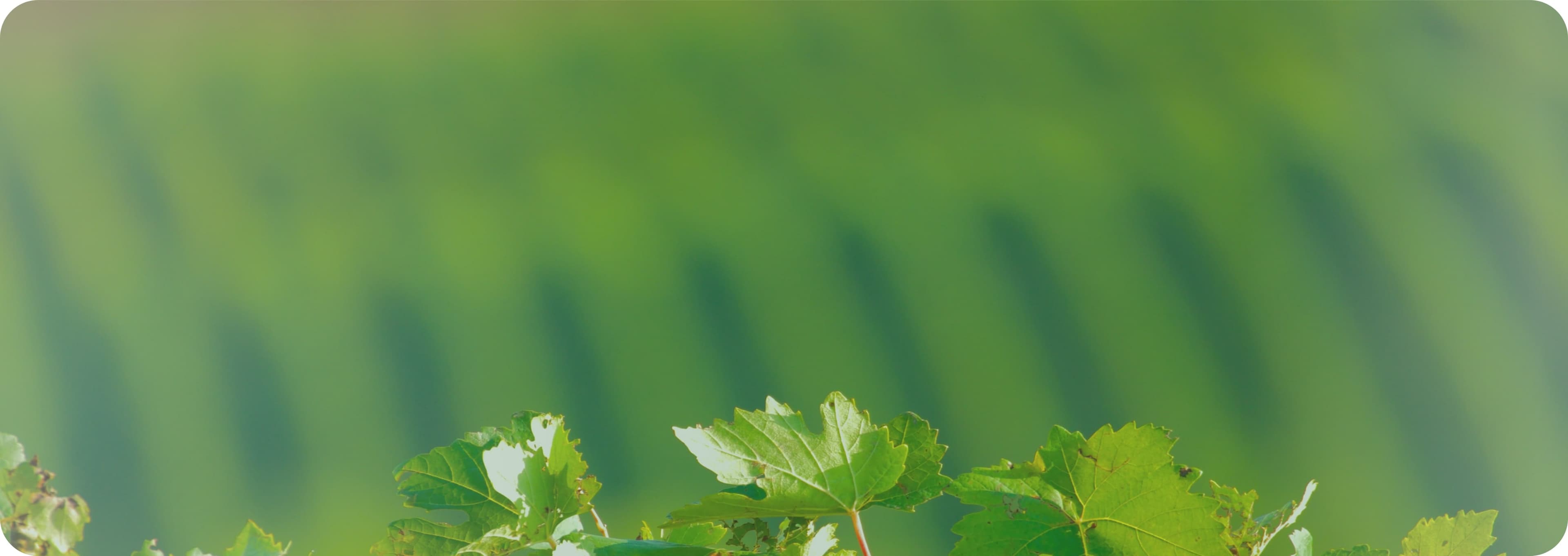 Future of farming background